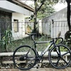 VISP pro-track sports TRX 790 photo