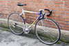 Dancelli Road Bike photo