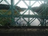 Dangre retro road bike photo