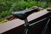 Dark Green Cinelli Mash photo