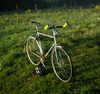 Dawes 'hand built' Fixie photo