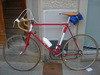 Dawes L'Eroica Rat Bike photo