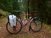 Dawes Sportif Comp tourer photo