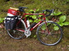 Dawes Sportif Comp tourer photo