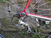 De Rosa Nuovo Classico photo