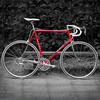 De Rosa Professional photo