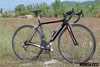 Dedacciai Gladiatore photo