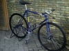 Deep Blue Vivalo Pursuit NJS photo