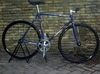 Deep Blue Vivalo Pursuit NJS photo