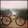 Def Wish FGCX29er photo