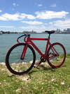 Leader 725 photo