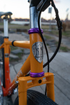 Di2 All City Gorilla Monsoon photo