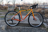 Di2 All City Gorilla Monsoon photo