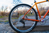 Di2 All City Gorilla Monsoon photo