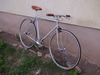 Diamant 28" Singlespeed photo