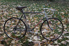 Diamant 35 707 Road Bike w/ Campa Record photo