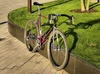 Diamant SP93 with wishbone rear photo