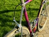 Diamant SP93 with wishbone rear photo