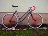 Diamant Woman Roadbike/ AUTO 2-Speed Hub photo