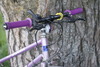 Diana Favorit (my daughter's bike) photo