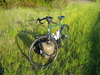 Disc Trucker photo