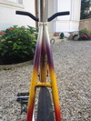 Disco T.Pena trackbike photo