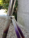 Disco T.Pena trackbike photo