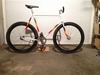 Disco T.Pena trackbike photo