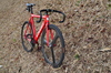 Dodici Specialized photo