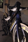 Dogma F - Q36.5 Team Replica photo Dogma F - Q36.5 Team Replica photo