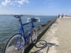 Dolan photo
