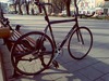 Dolan Aluminium Track '09 photo