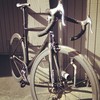 Dolan carbon fixed gear photo