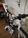 Dolan Pre Cursa photo