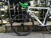 Dolan Pre Cursa White photo