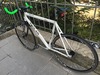 Dolan Pre Cursa White photo