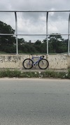 Dolan precursa photo