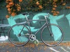 Dolphino TT the fixie photo