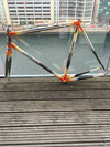 Donohue 853 photo