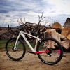 Dundee Cycles Jewell 29er photo