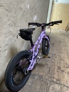Early Rider Belter 14" photo