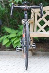 eBay Carbon road bike photo