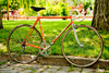 Eddy Merckx 80' photo