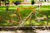 Eddy Merckx 80' photo