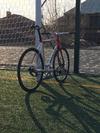 Eddy Merckx Aluminium Pista photo