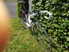 Eddy Merckx Corsa Extra Team Telekom 56 photo