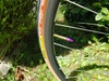 Eddy Merckx Corsa Extra Team Telekom 56 photo