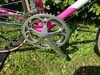 Eddy Merckx Corsa Extra Team Telekom 56 photo