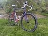 Eddy Merckx Corsa Extra Team Weinmann photo
