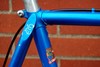 Eddy Merckx Custom Team Panasonic photo